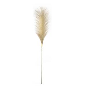 Goma Feather Blush
