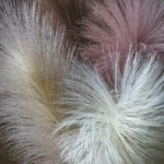 Goma Feather Blush